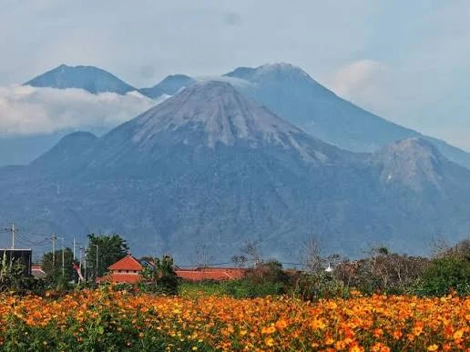 Panduan Memilih Supplier Air Tangki yang Terpercaya